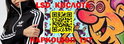 Альфа ПВП Можга