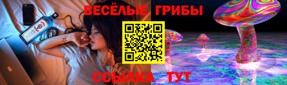 Галлюциногенные грибы Cubensis Унеча